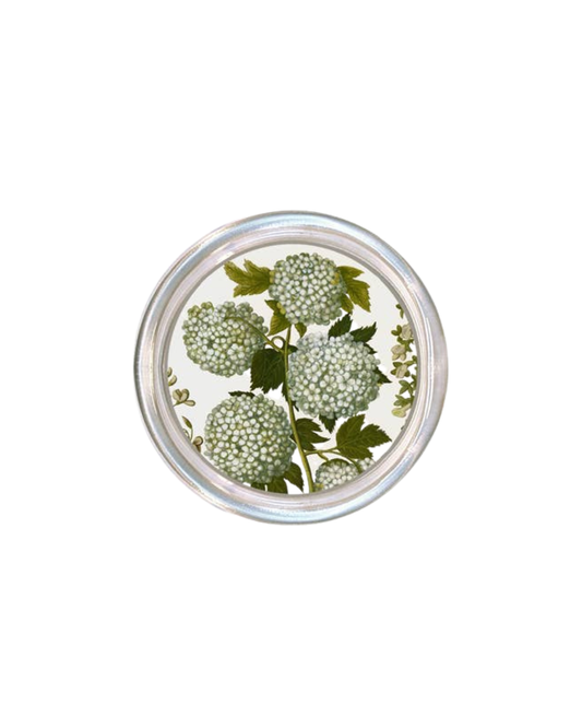 Pale Hydrangea Coaster