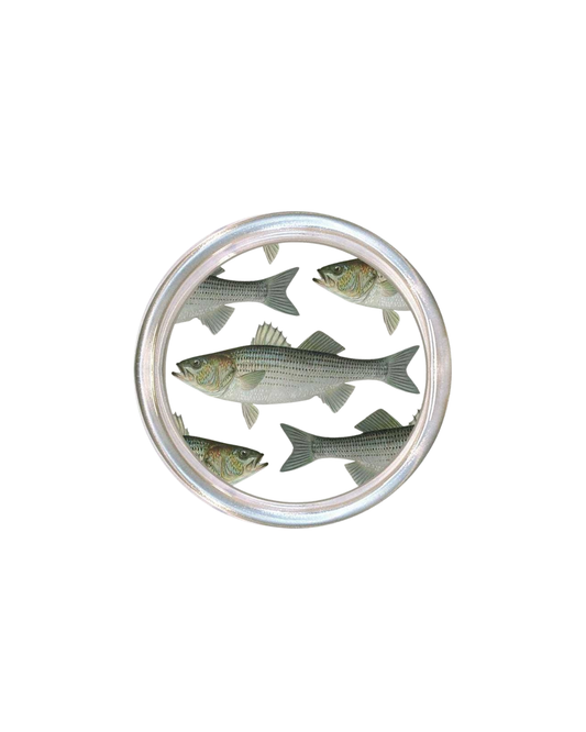 Striped Bass Coaster