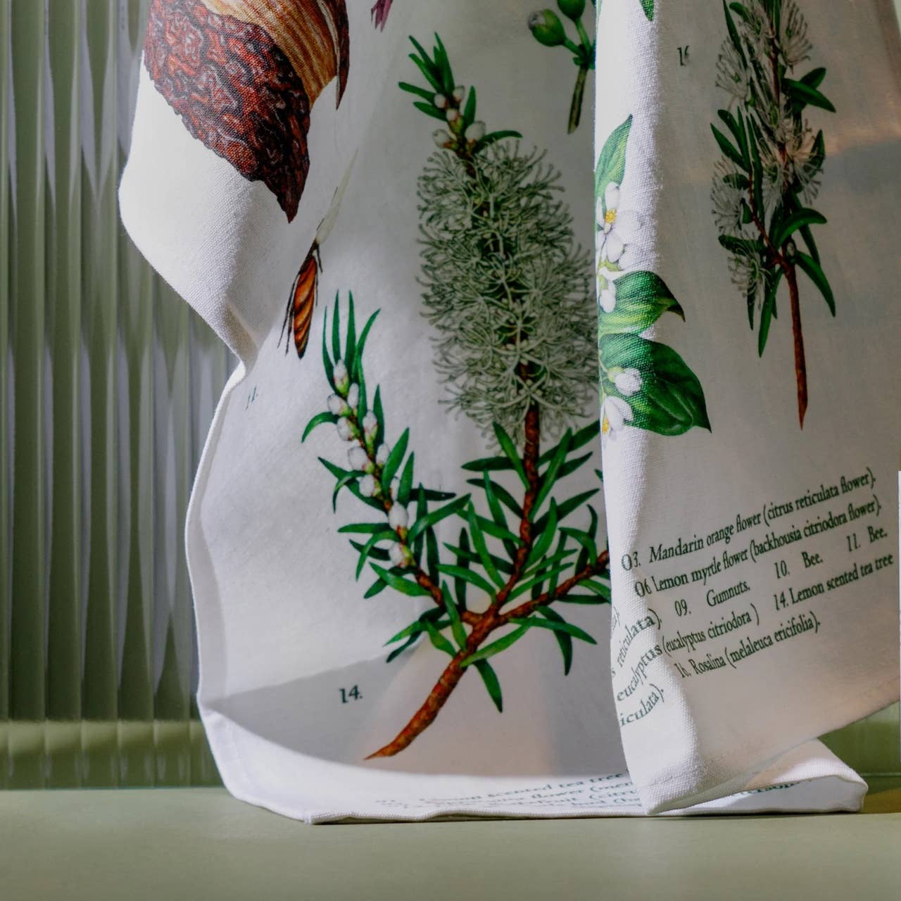 Linen & Cotton Terra Botanical Tea Towel - Koala Eco
