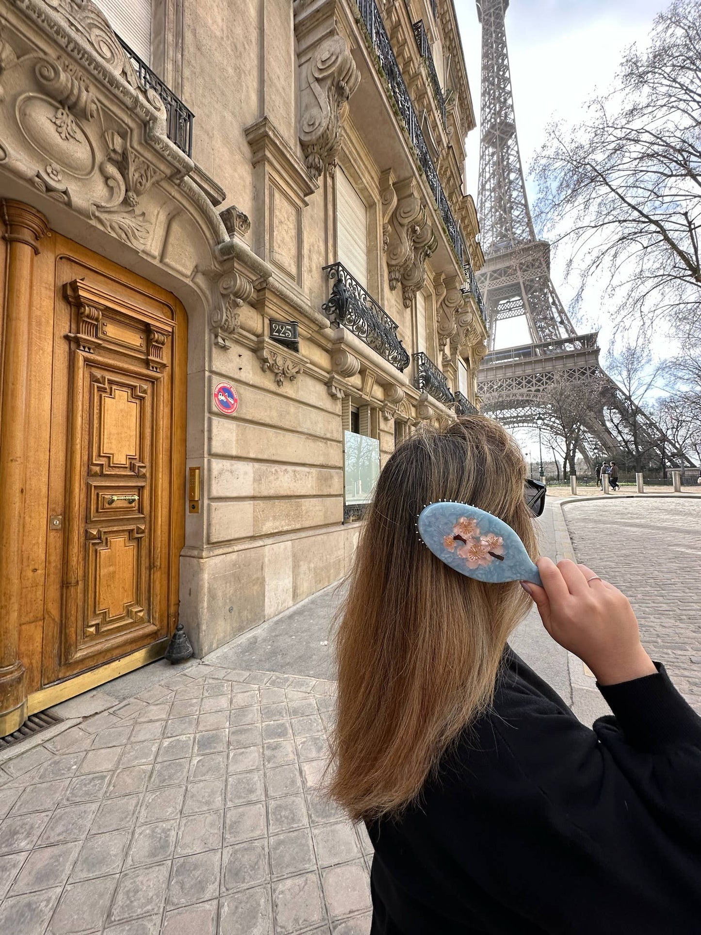 Hand-painted Cherry Blossom Amazing Hair Day Brush - Solar Eclipse