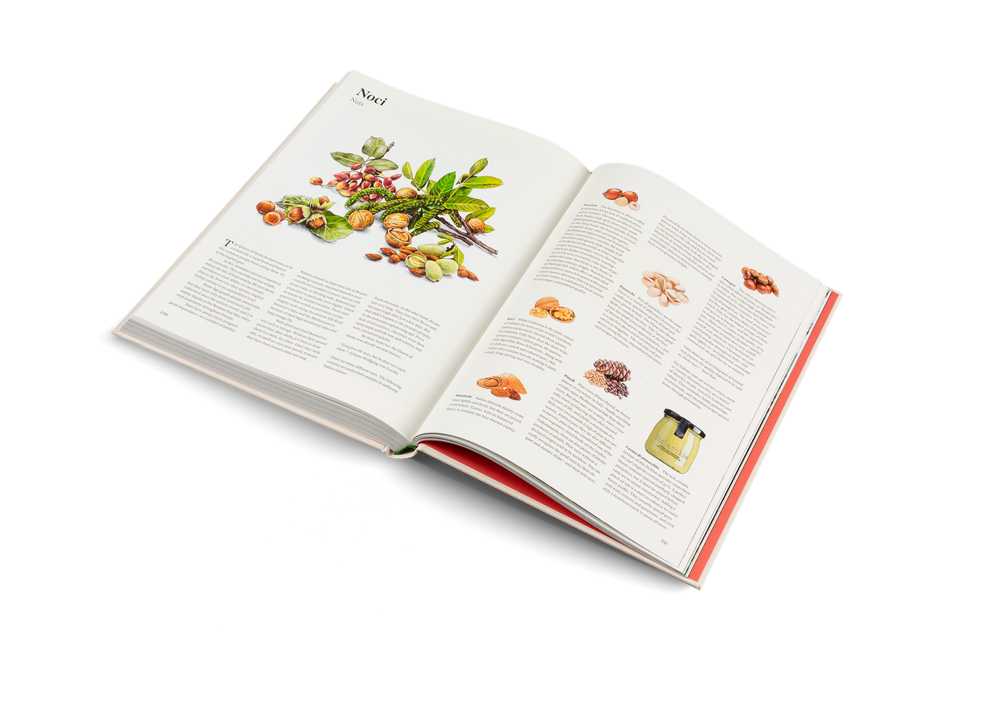 Originale: Recipes and Essentials of Italian Cooking - Gestalten