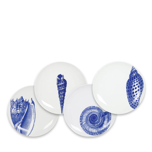 Shells Small Plates - Set of 4
