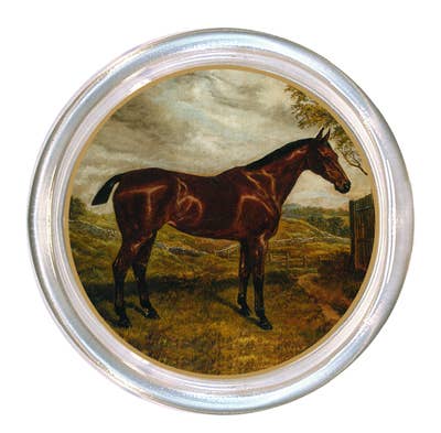 Bay Horse Coaster