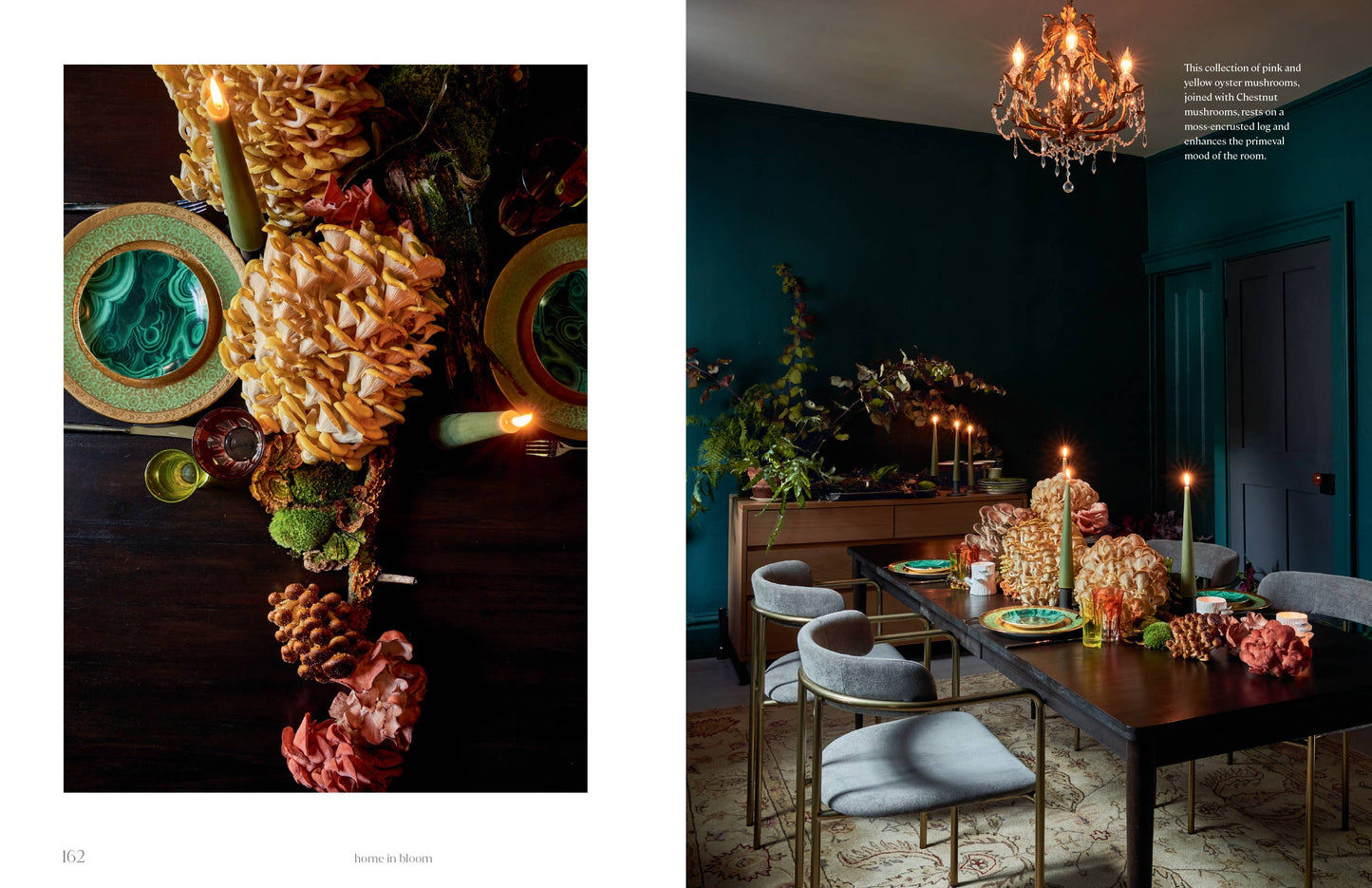 Home in Bloom Book