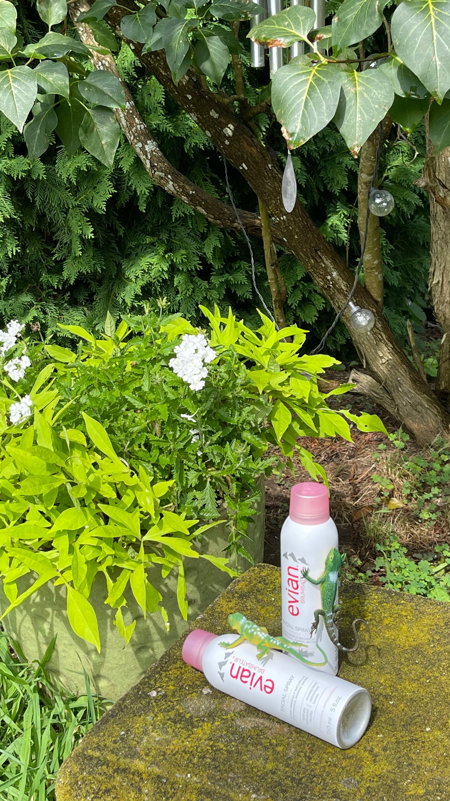 Evian Water Facial Spray - Parent Trap