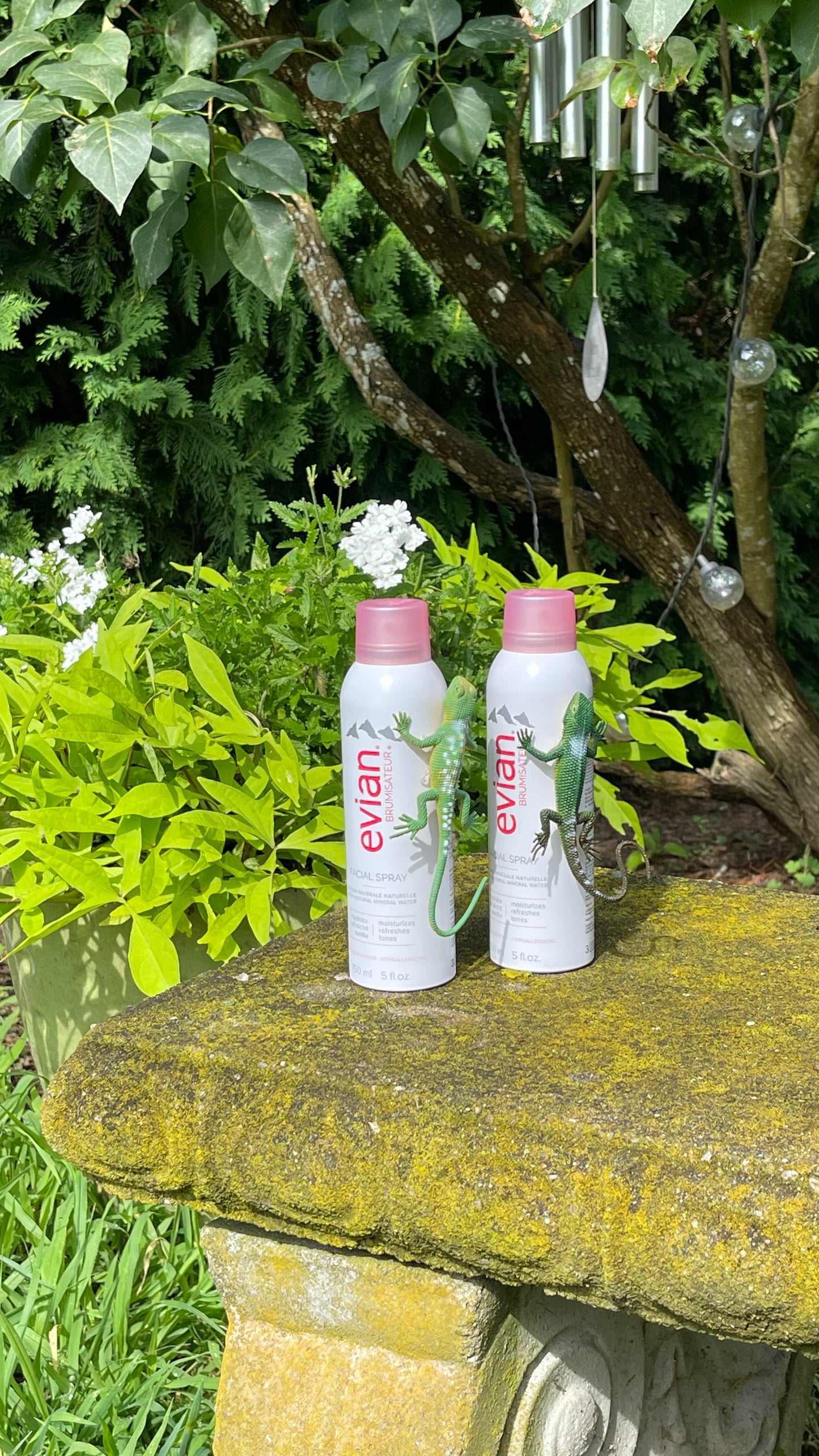 Evian Water Facial Spray - Parent Trap
