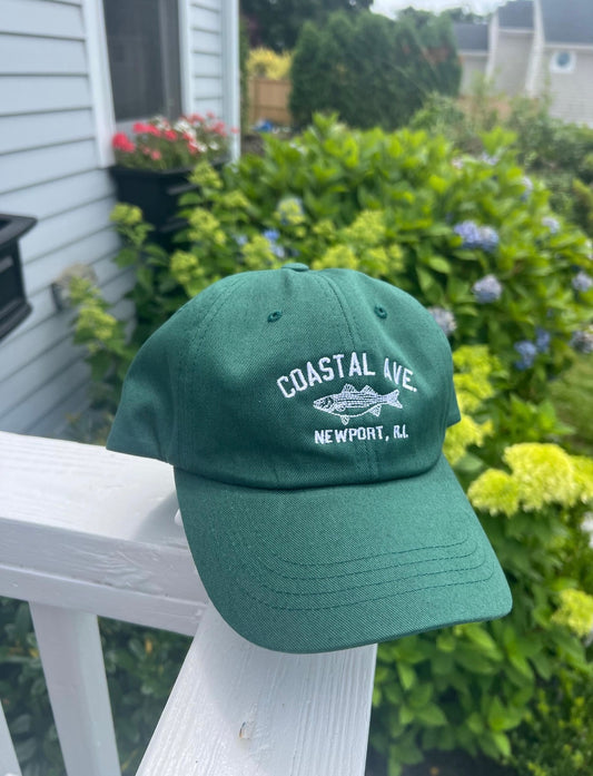 Coastal Ave Hat - Spruce