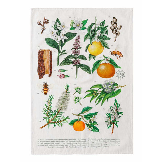 Linen & Cotton Terra Botanical Tea Towel - Koala Eco