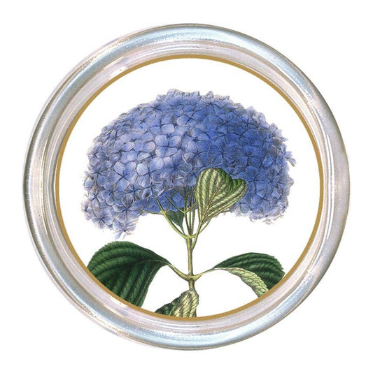 Blue Hydrangea on White Coaster