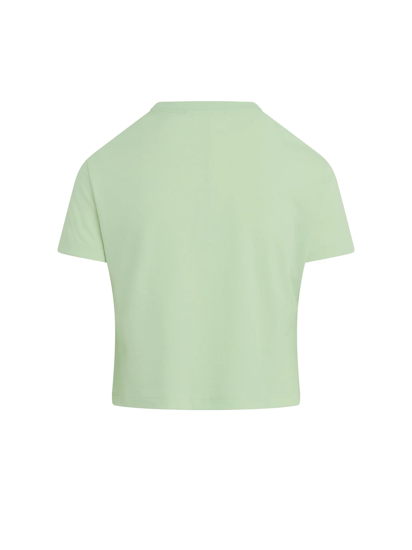 Cropped Varsity Tee - Mint - Favorite Daughter