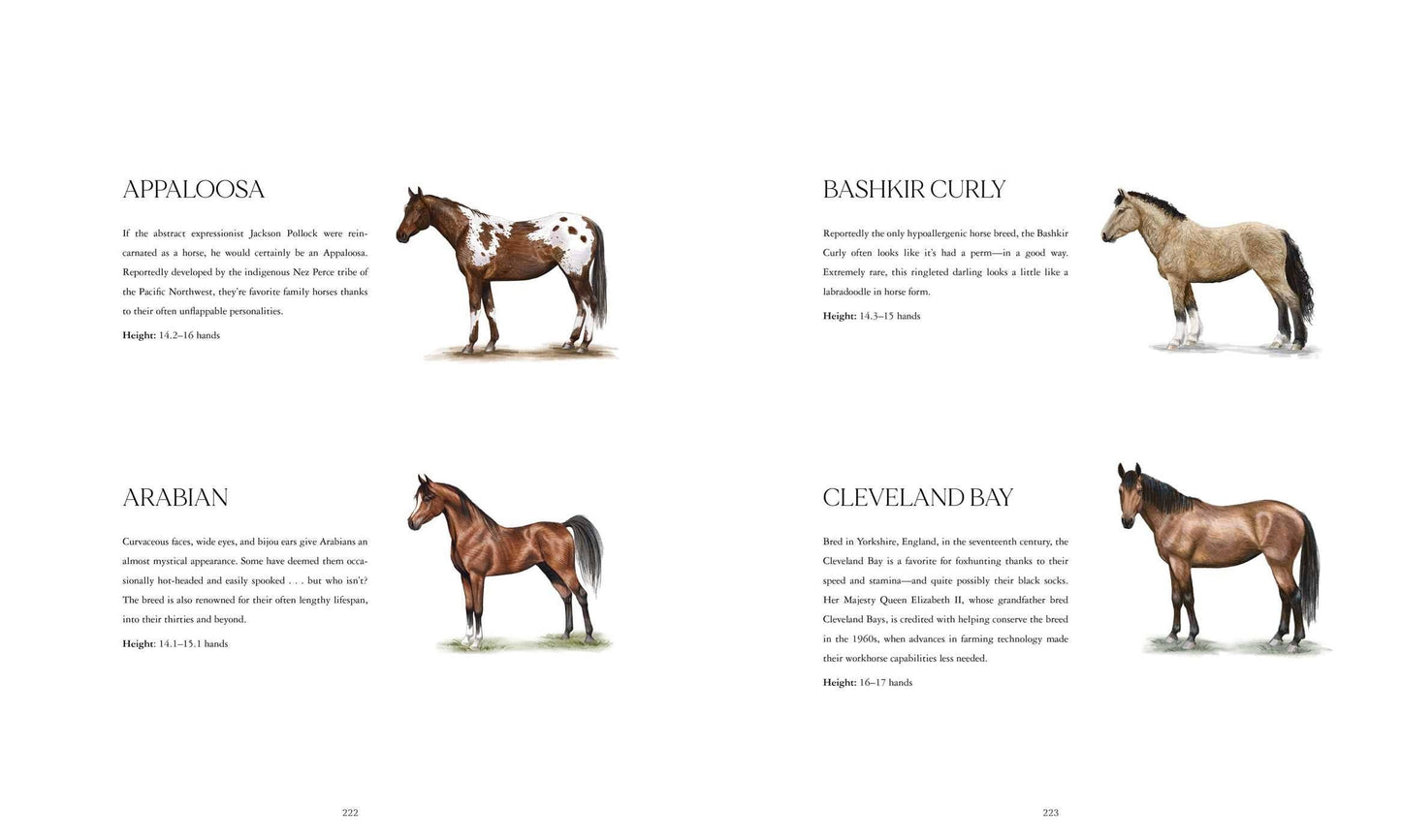 Horse Country Book