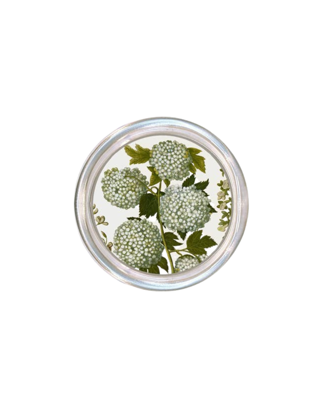 Pale Hydrangea Coaster
