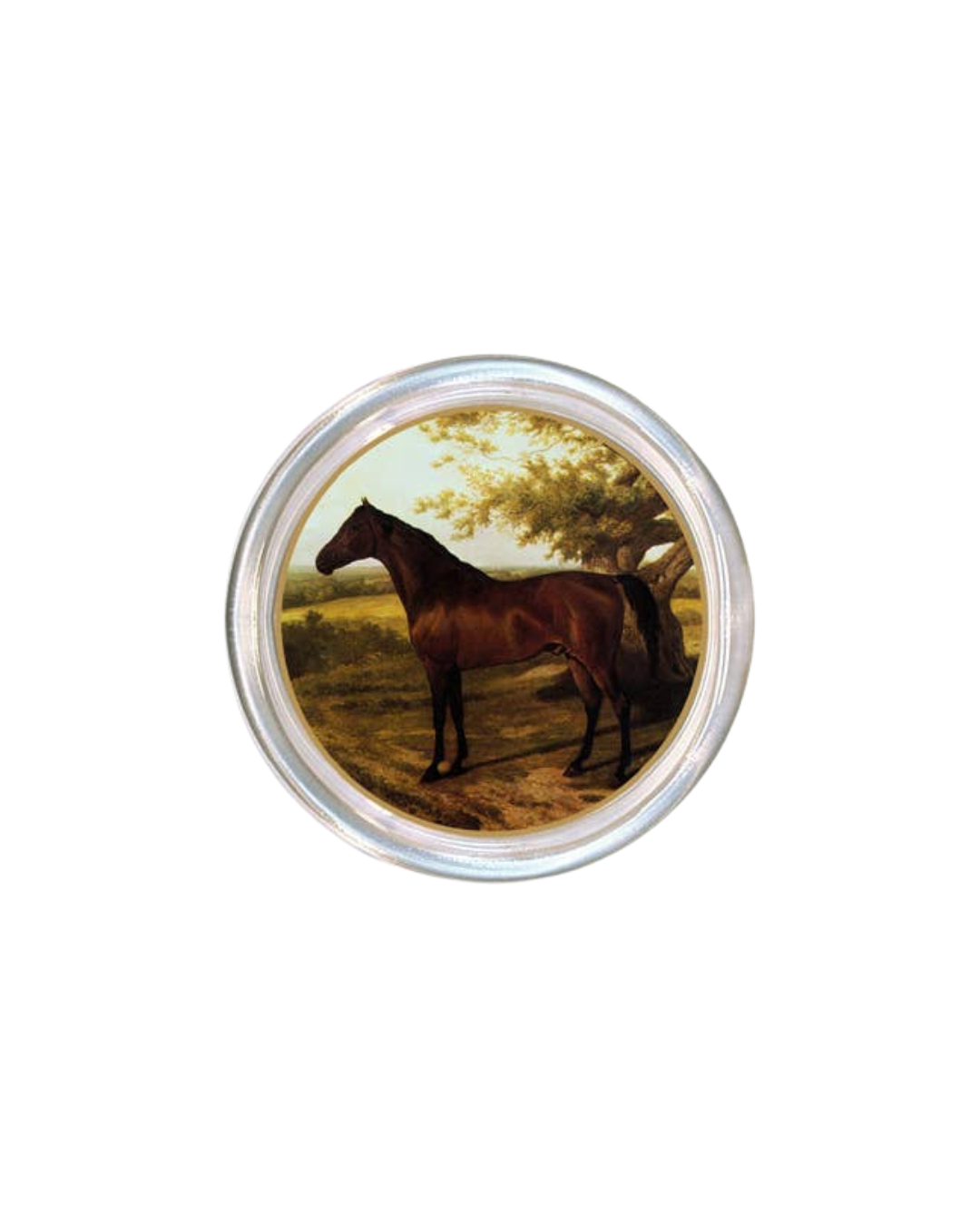 Bay Horse Facing Left Coaster