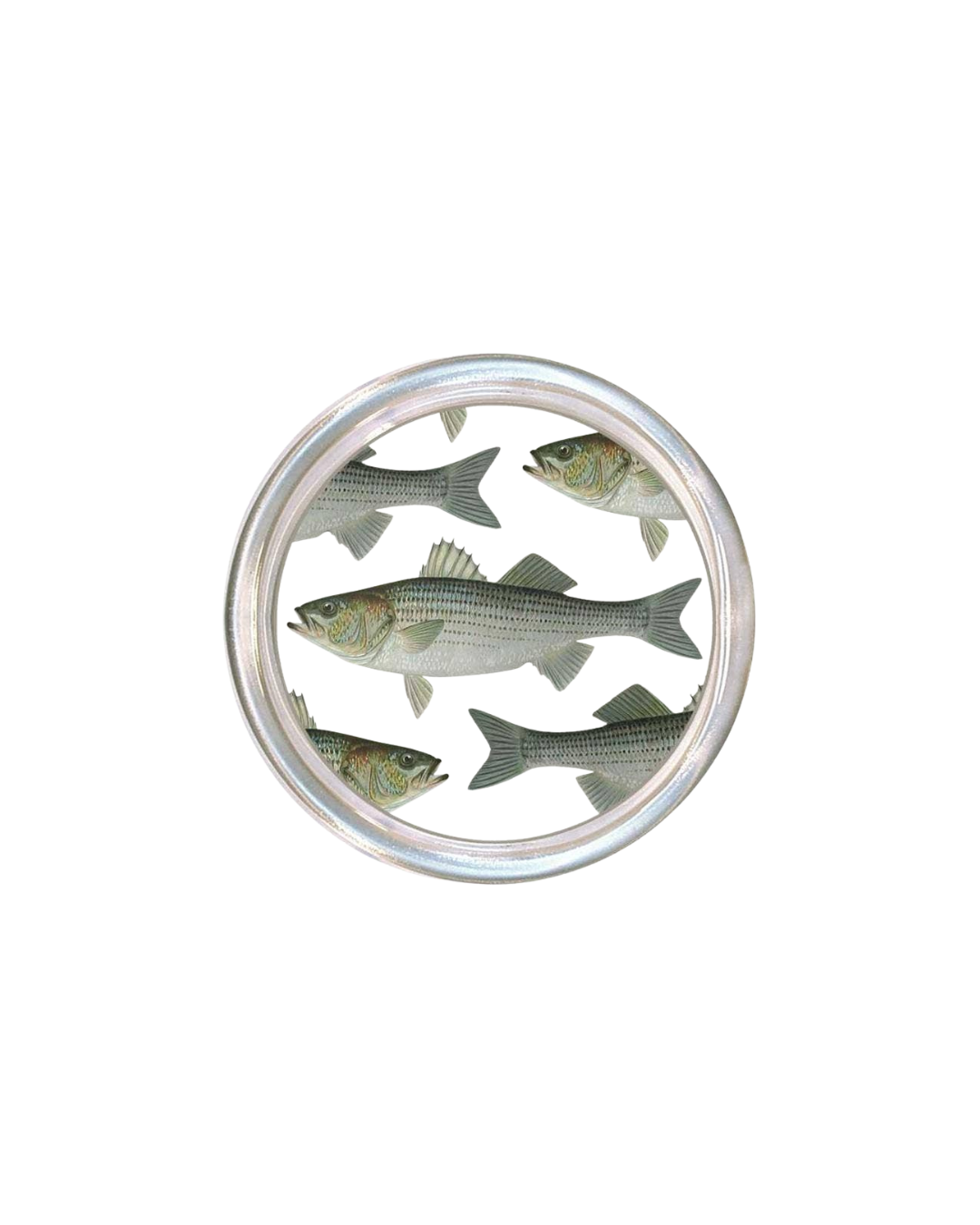 Striped Bass Coaster