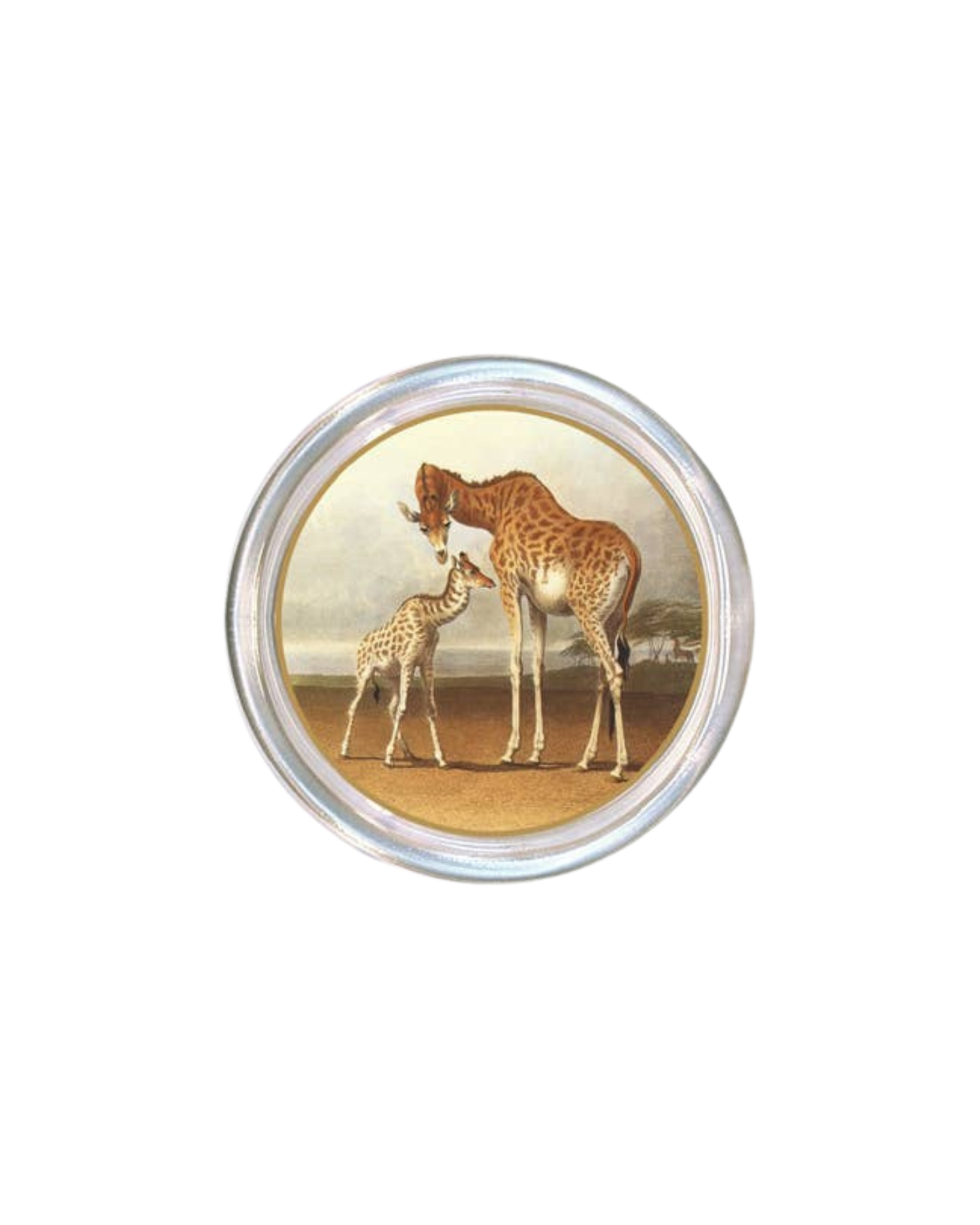 Giraffes Coaster