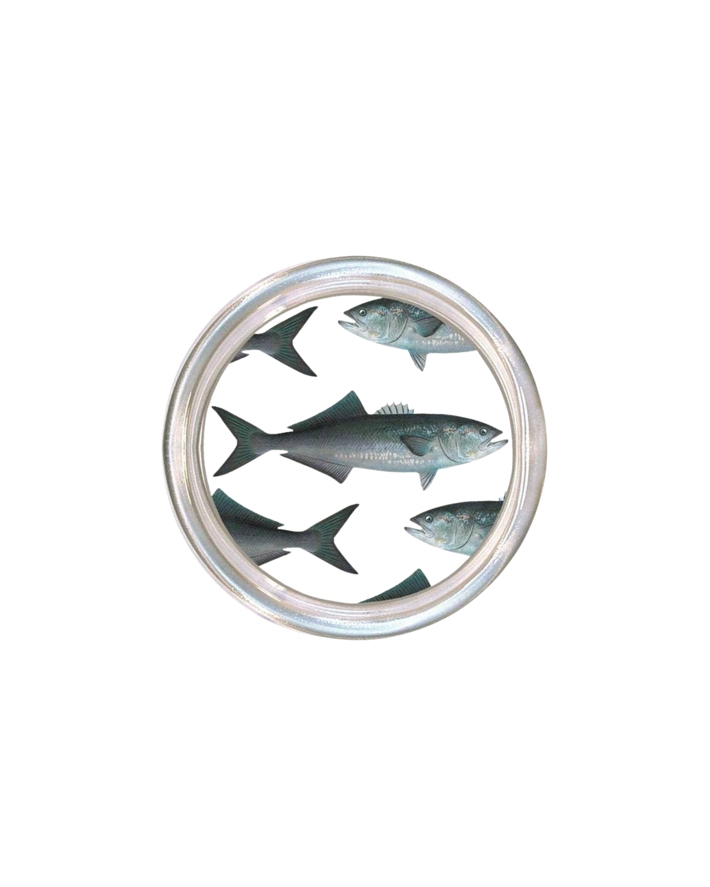 Bluefish Coaster