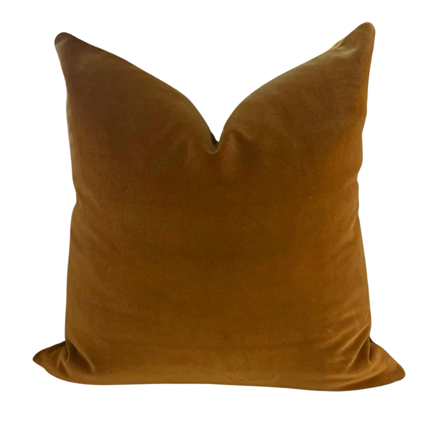 Colette Velvet Designer Pillow
