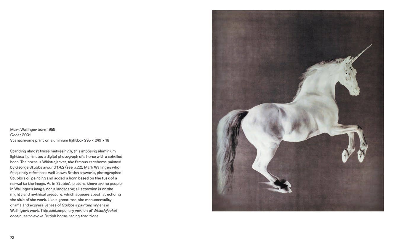 Horses in Art Book