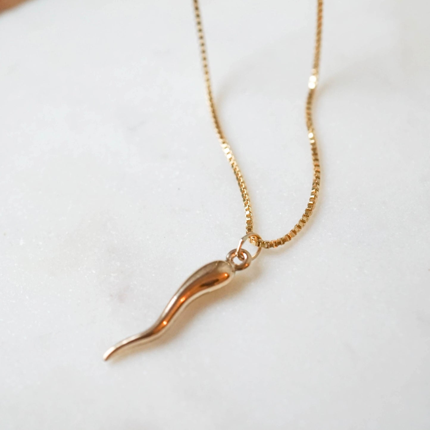 Italian Horn Gold Filled Necklace - JoeLuc