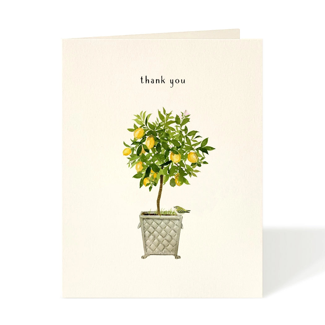 Lemon Topiary Plant Thank You Greeting Card - Felix Doolittle