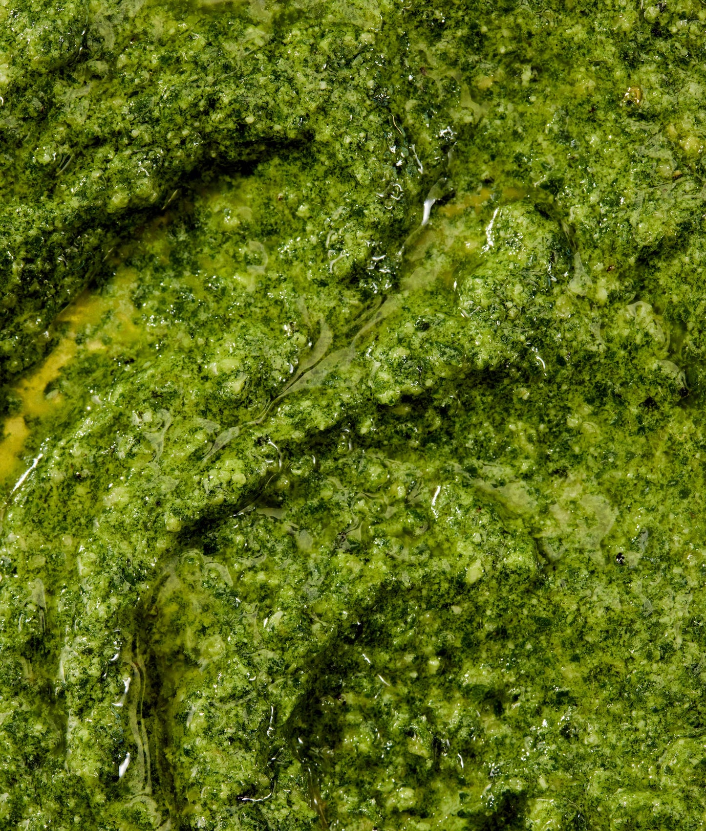 Sauces. Marinades. Dressings. Book by Emmy Eats