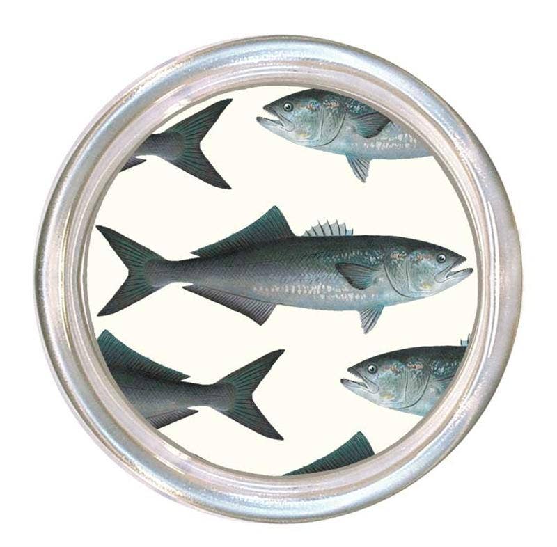 Bluefish Coaster