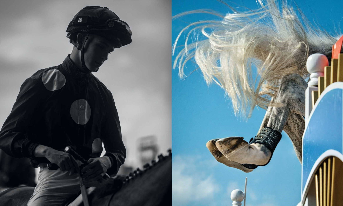 Horse Country Book
