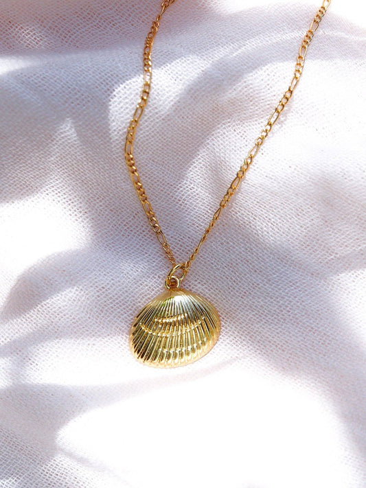 Gold Sea Shell Necklace - 18 in