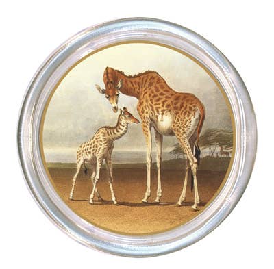 Giraffes Coaster