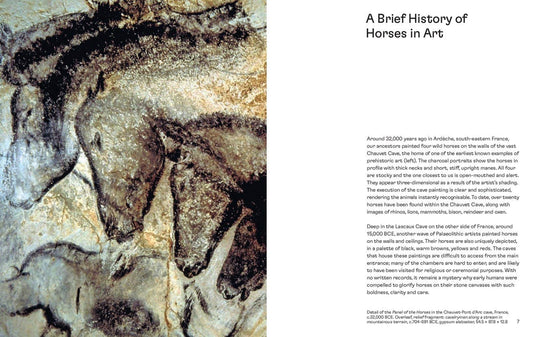 Horses in Art Book