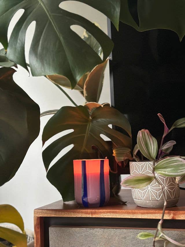Atina Candle - Blackcurrant & Oudh - Maegan