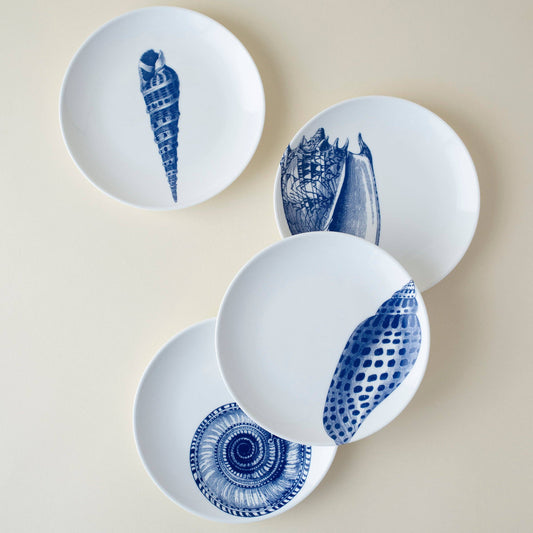 Shells Small Plates - Set of 4