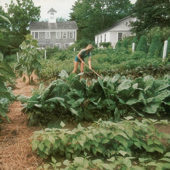 Entertaining by Martha Stewart