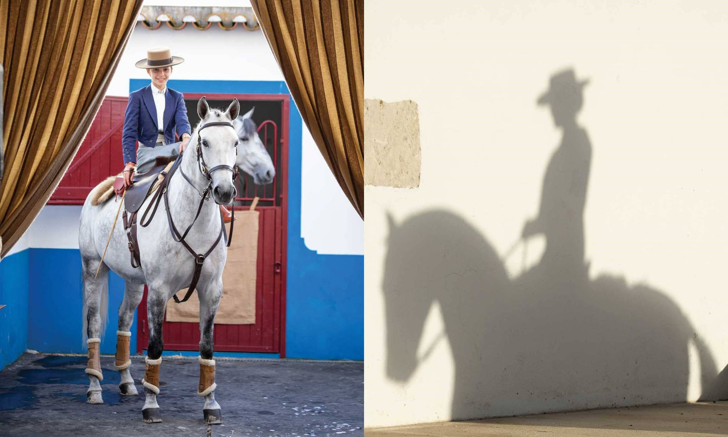 Horse Country Book