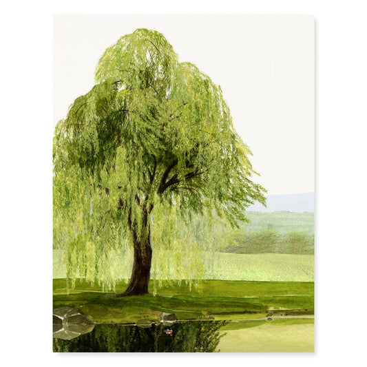 Whispering Willow - Sympathy Greeting Card