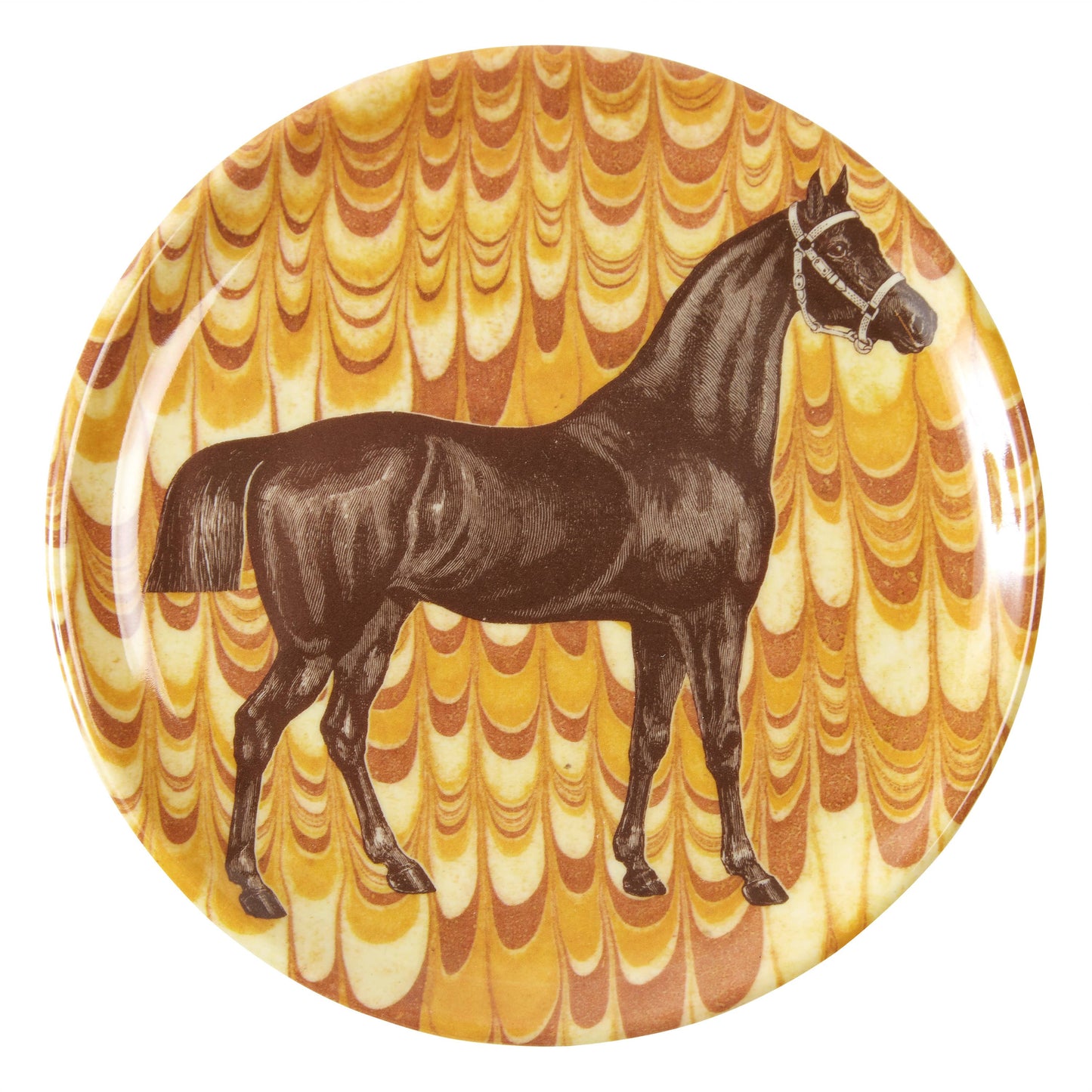 Equine Coasters - Set of 4 Marbled - Thomas Paul