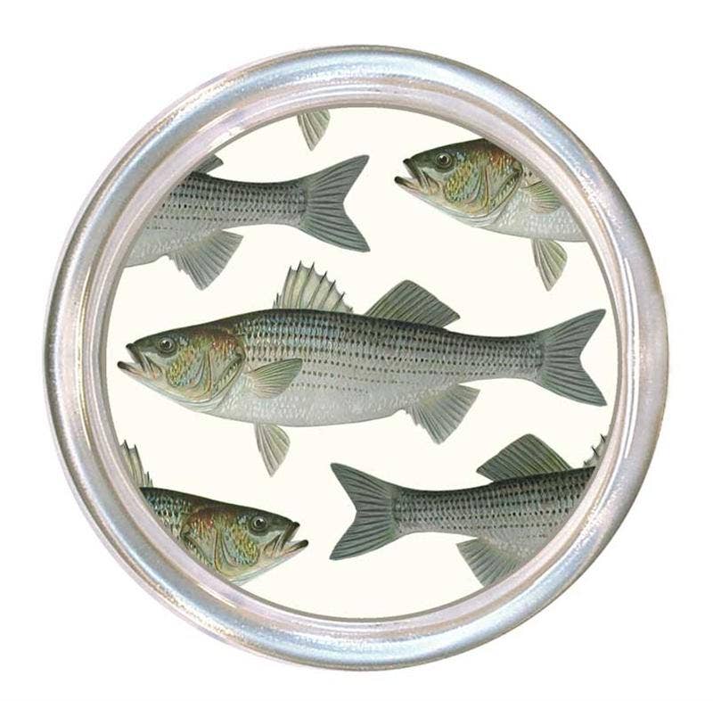 Striped Bass Coaster