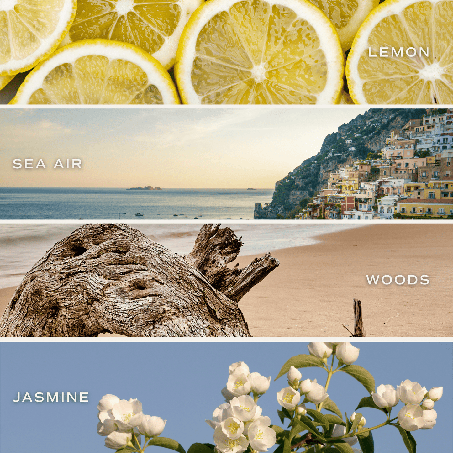 Coastal Lemon 15 oz Soy Candle