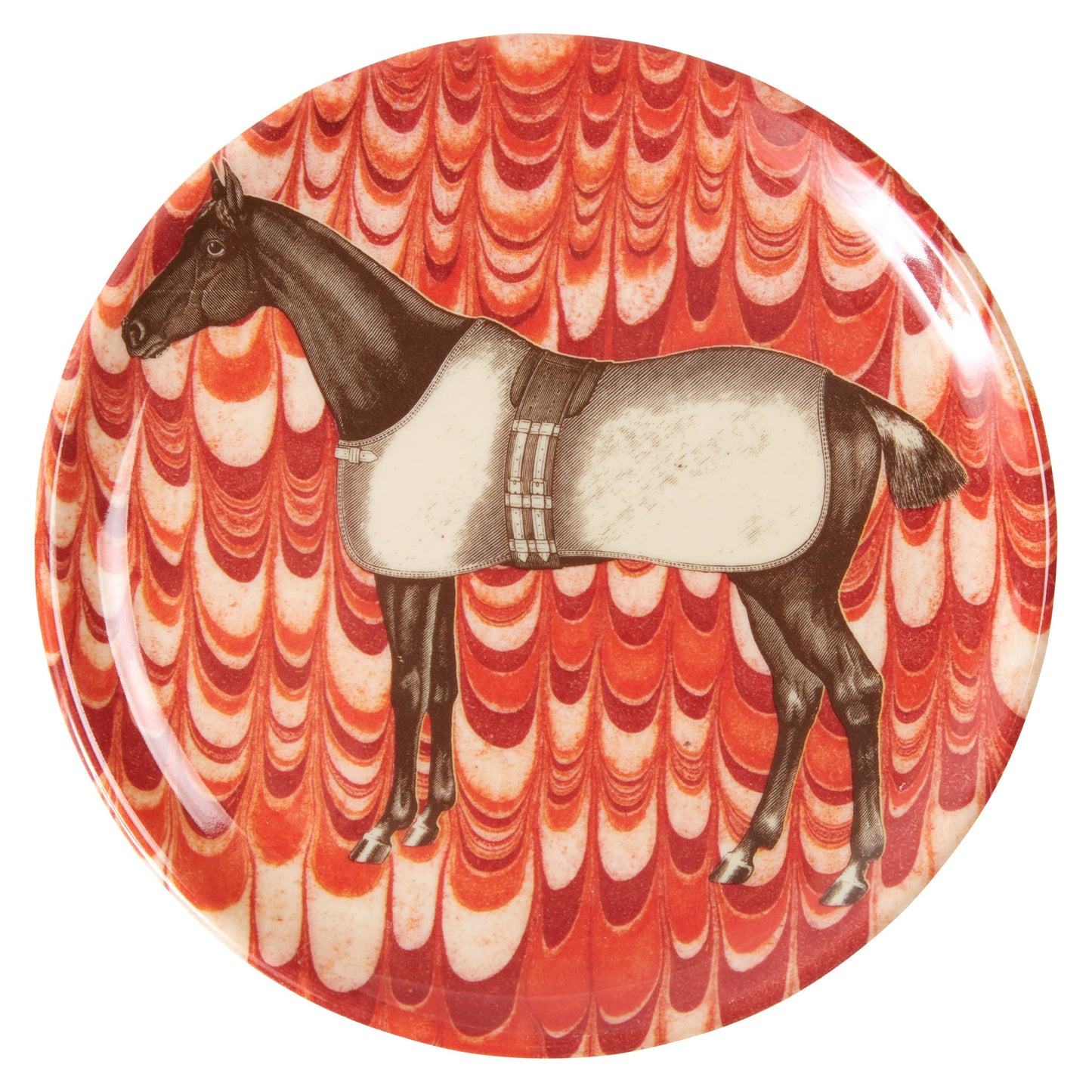 Equine Coasters - Set of 4 Marbled - Thomas Paul