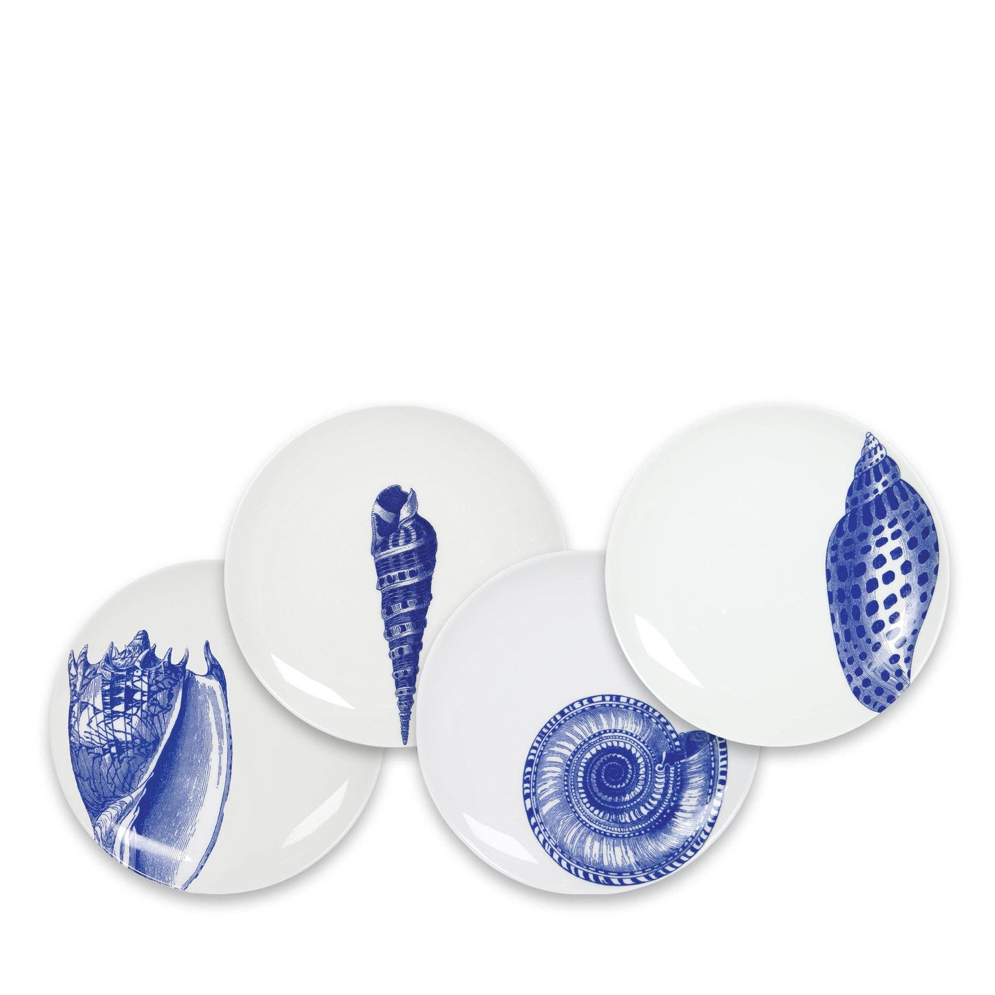 Shells Small Plates - Set of 4