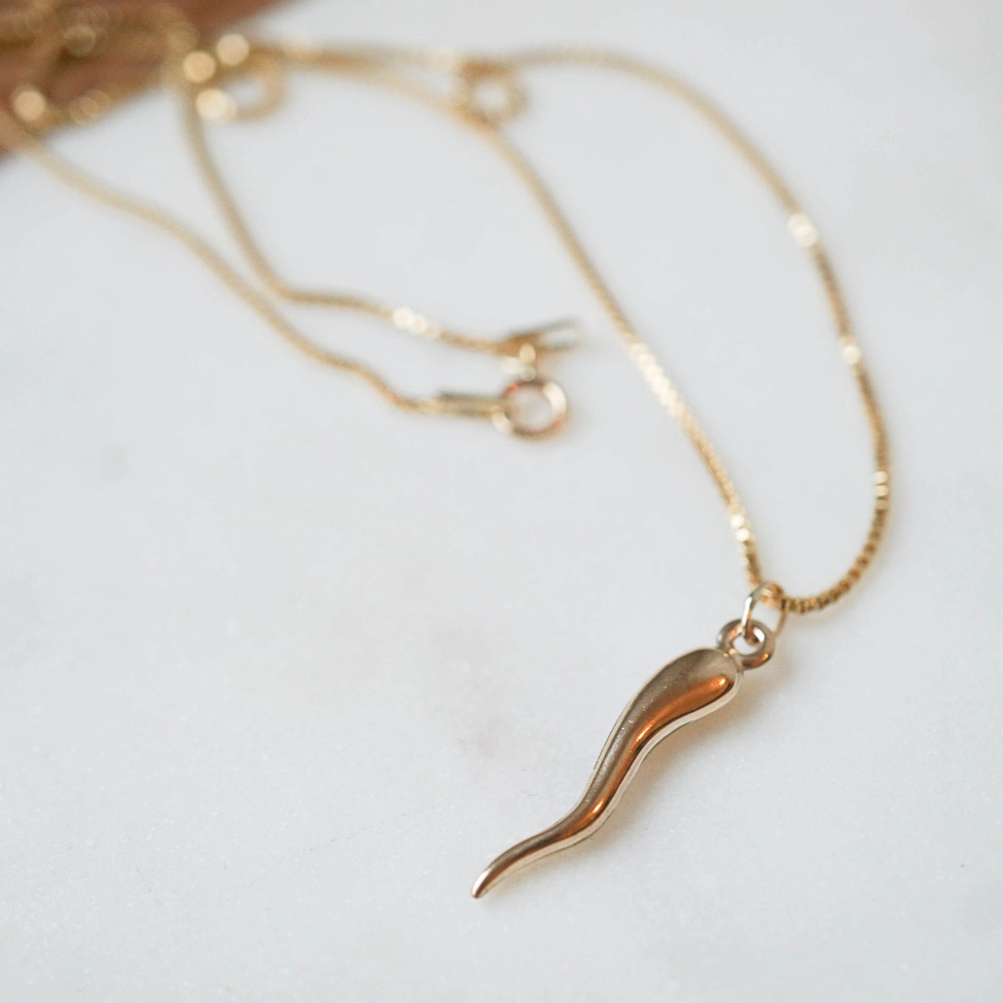 Italian Horn Gold Filled Necklace - JoeLuc