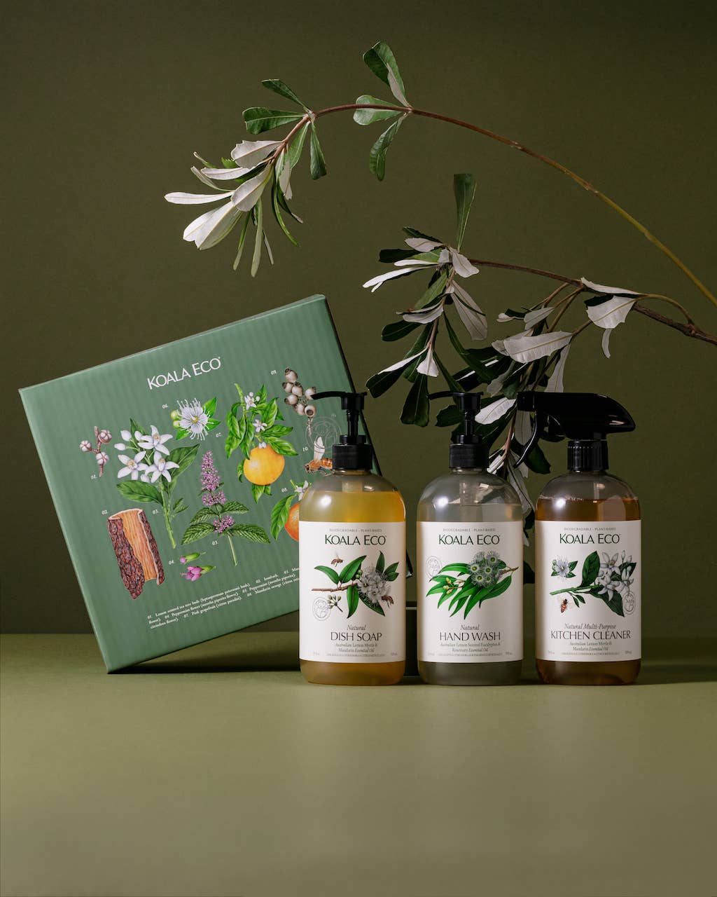 Nature Studies - Hand Wash, Dish Soap, Kitchen Cleaner - Koala Eco