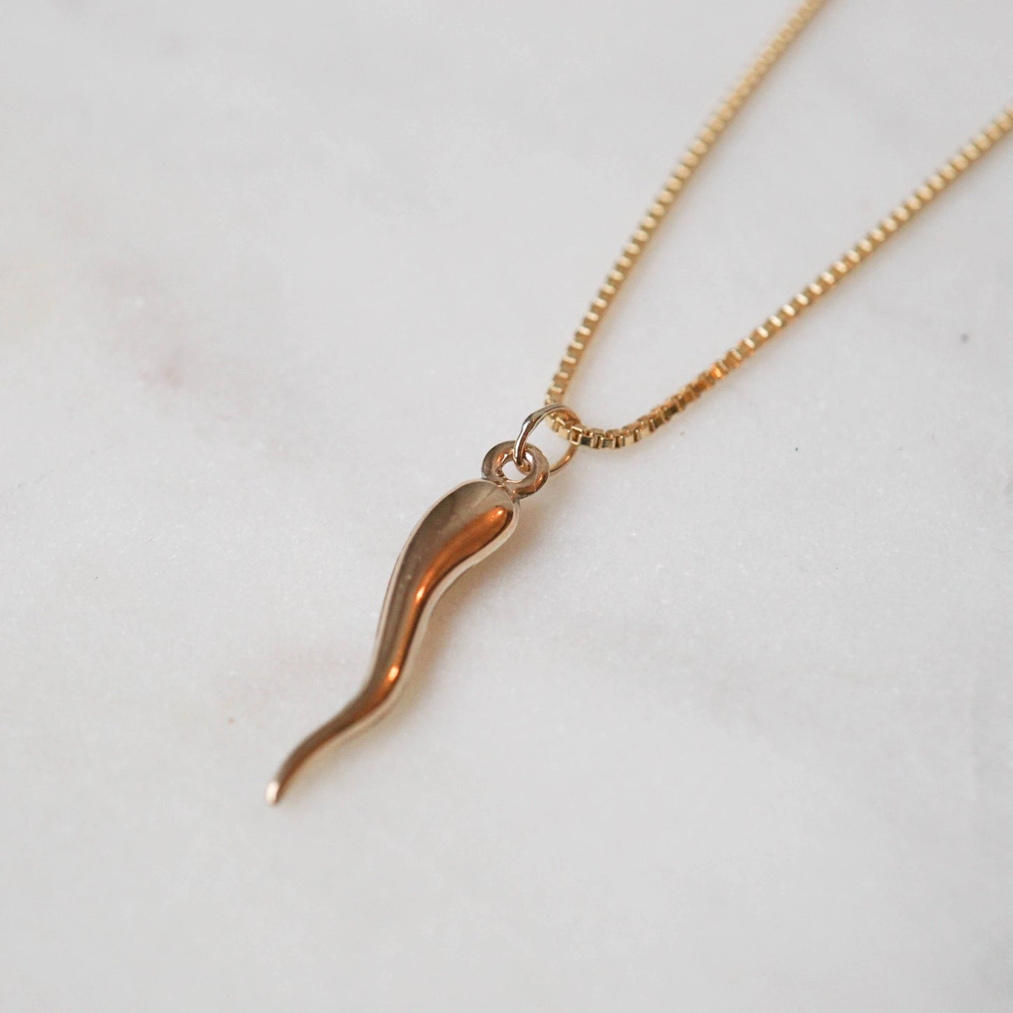 Italian Horn Gold Filled Necklace - JoeLuc