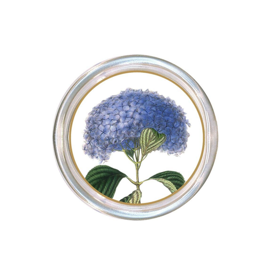 Blue Hydrangea on White Coaster