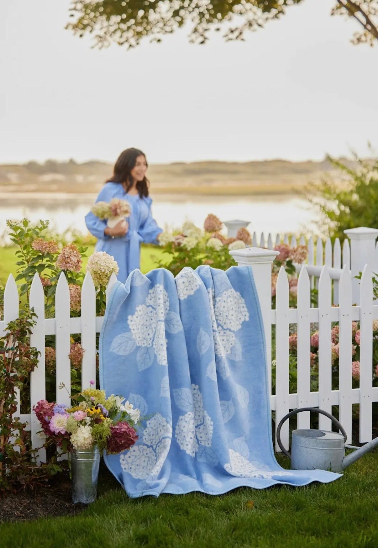 Hydrangeas Blue Bell - Chappywrap