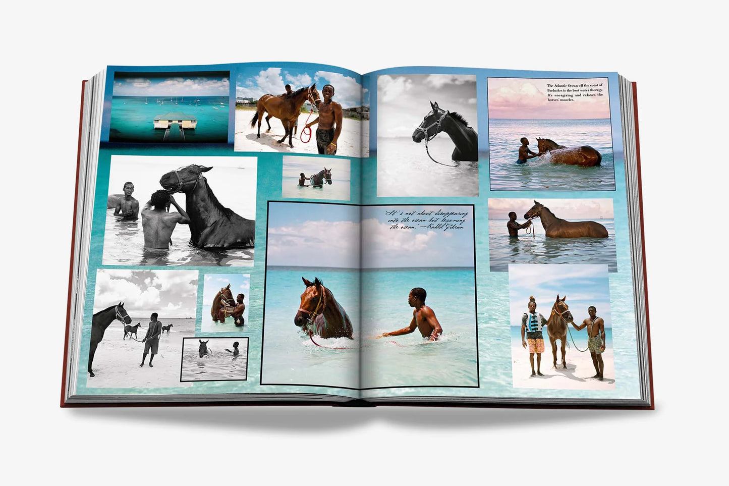 Polo Heritage - Assouline Books