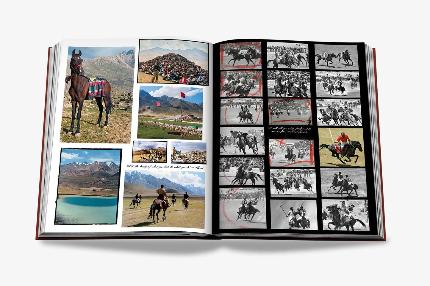 Polo Heritage - Assouline Books