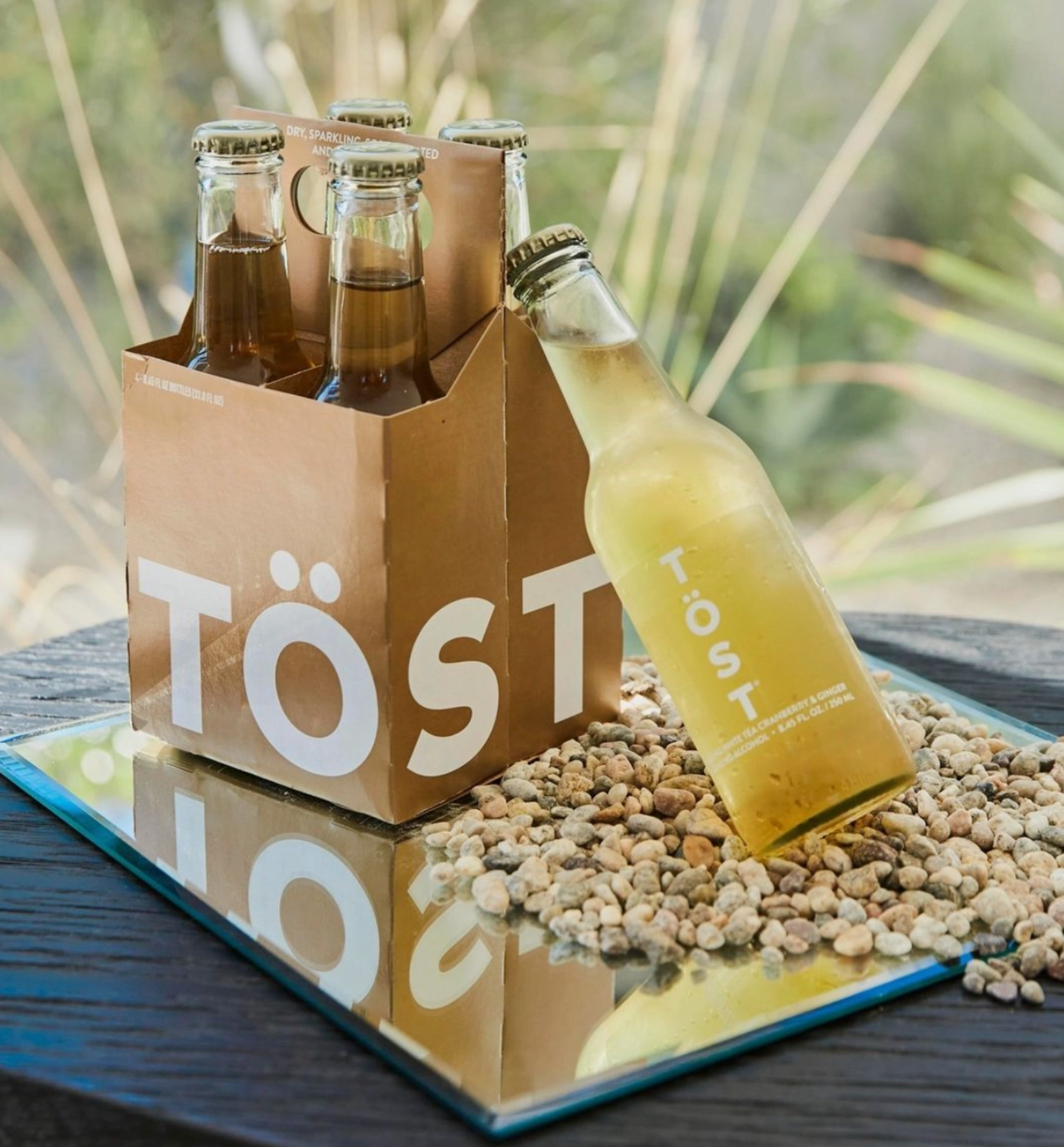 Töst Non-Alcoholic Refresher - Individual – Little Chateau