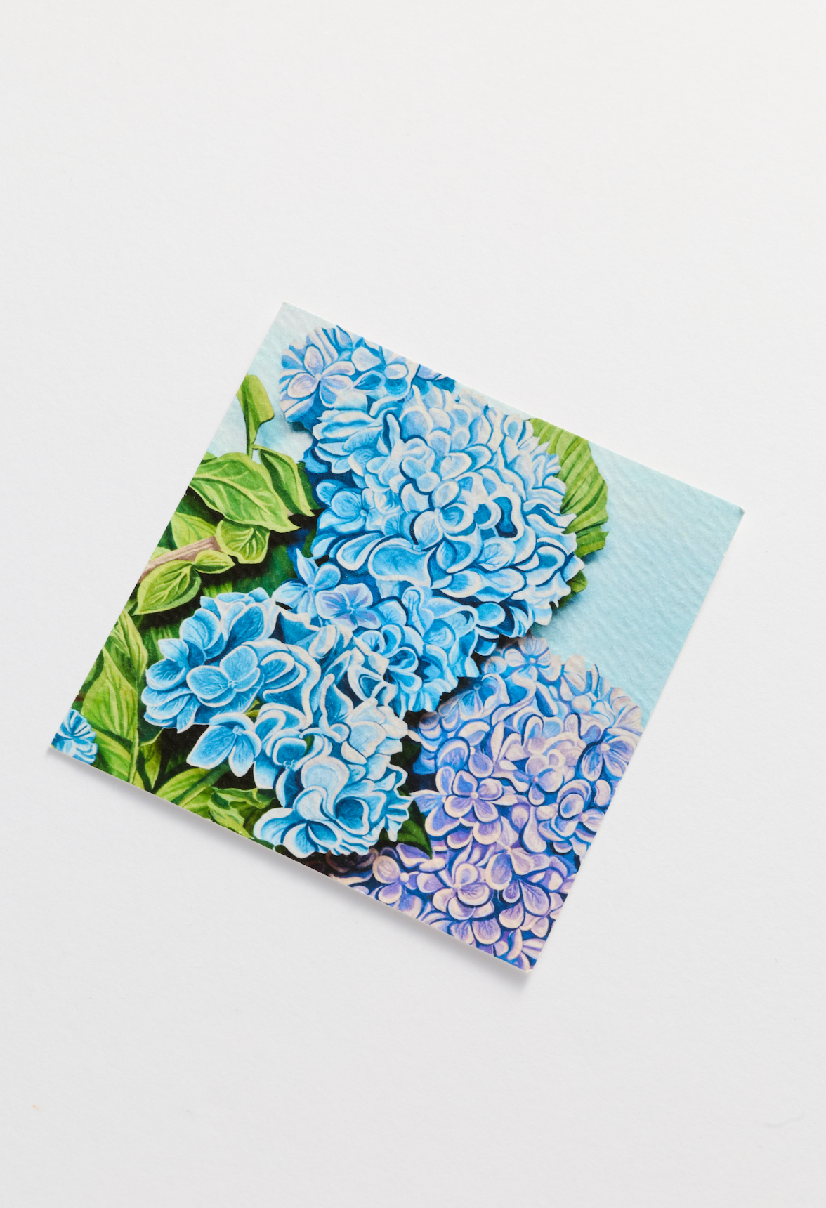 Kate's Hydrangea Necklace - Silver or Gold - Kate Hickman x And Livy