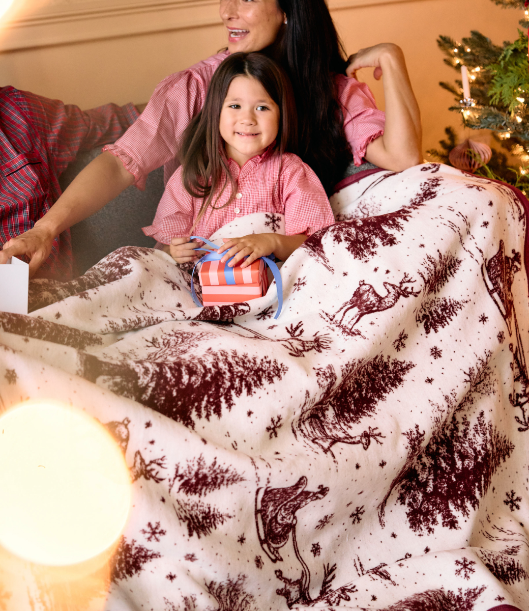 Santa Toile Blanket